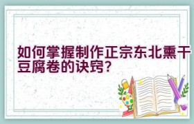 如何掌握制作正宗东北熏干豆腐卷的诀窍？