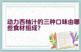 动力西柚汁的三种口味由哪些食材组成？