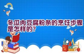 冬瓜肉豆腐粉条的烹饪步骤是怎样的？