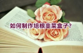 如何制作培根韭菜盒子？