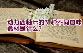 动力西柚汁的3种不同口味食材是什么？