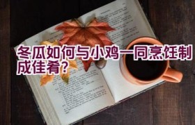 冬瓜如何与小鸡一同烹饪制成佳肴？