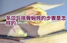 冬瓜与排骨焖炖的步骤是怎样的？