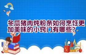 冬瓜猪肉炖粉条如何烹饪更加美味的小窍门有哪些？