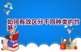 如何有效区分不同种类的竹笋？