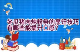 冬瓜猪肉炖粉条的烹饪技巧有哪些能提升口感？