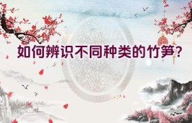 如何辨识不同种类的竹笋？