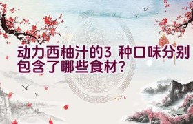 动力西柚汁的3种口味分别包含了哪些食材？