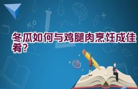 冬瓜如何与鸡腿肉烹饪成佳肴？