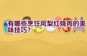 有哪些烹饪凤梨红烧肉的美味技巧？