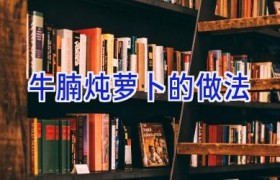 牛腩炖萝卜的做法