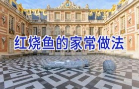 红烧鱼的家常做法