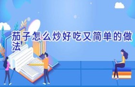 茄子怎么炒好吃又简单的做法