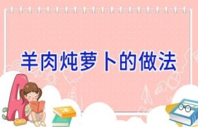 羊肉炖萝卜的做法