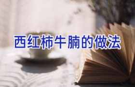 西红柿牛腩的做法