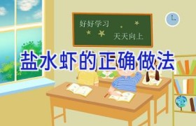 盐水虾的正确做法