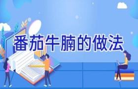 番茄牛腩的做法