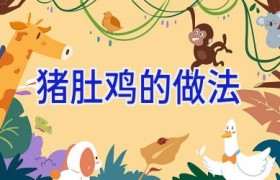 猪肚鸡的做法