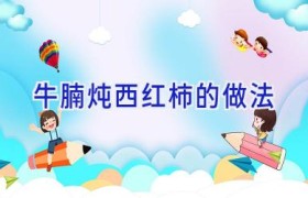 牛腩炖西红柿的做法