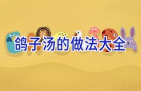 鸽子汤的做法大全