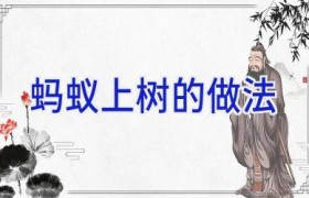 蚂蚁上树的做法