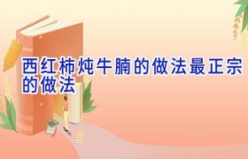 西红柿炖牛腩的做法最正宗的做法