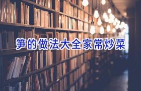 笋的做法大全家常炒菜