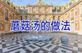 蘑菇汤的做法