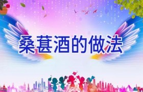 桑葚酒的做法