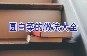圆白菜的做法大全