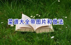 菜谱大全带图片和做法
