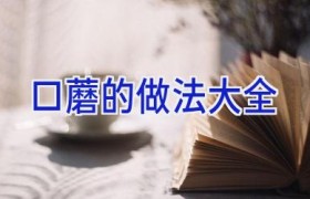 口蘑的做法大全