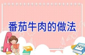 番茄牛肉的做法