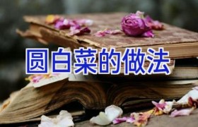 圆白菜的做法