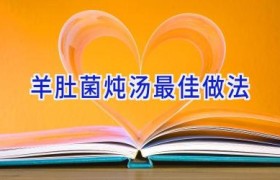 羊肚菌炖汤最佳做法