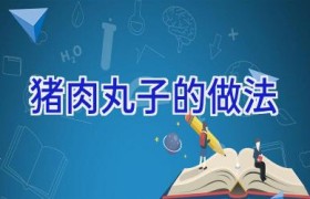 猪肉丸子的做法