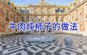 牛肉炖柿子的做法