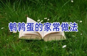 鹌鹑蛋的家常做法