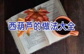 西葫芦的做法大全