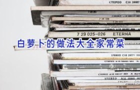 白萝卜的做法大全家常菜