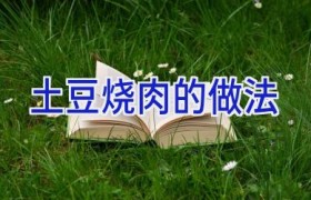 土豆烧肉的做法