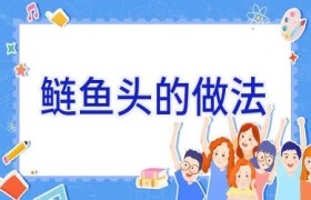鲢鱼头的做法