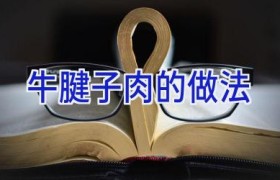 牛腱子肉的做法