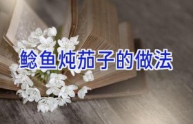 鲶鱼炖茄子的做法