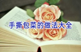 手撕包菜的做法大全