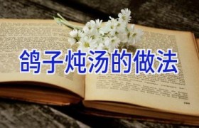 鸽子炖汤的做法