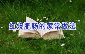 红烧肥肠的家常做法