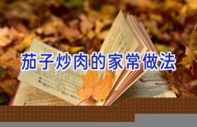 茄子炒肉的家常做法