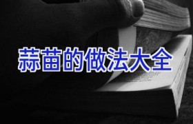 蒜苗的做法大全