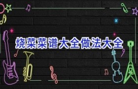 烧菜菜谱大全做法大全